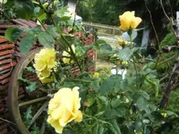 BILD0584.webp