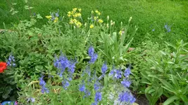 K800_31.5.2011 004.webp