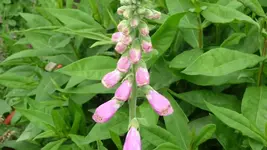 K800_31.5.2011 008.webp