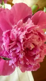 K800_31.5.2011 011.webp