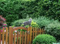 DSCF5436.webp