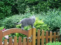 DSCF5437.webp