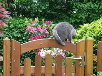 DSCF5438.webp