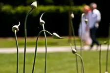 Kitzingen Landesgartenschau 29.5.11 (198 von 318).webp