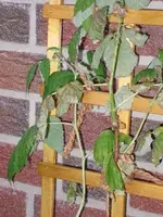 400_3835623164663037.webp