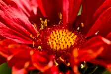 Kitzingen Landesgartenschau 29.5.11 (75 von 318).webp
