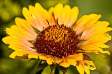 Kitzingen Landesgartenschau 29.5.11 (82 von 318).webp