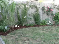 DSC00847.webp