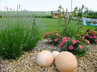 Garden.webp