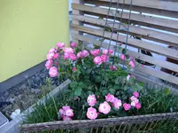 DSCF9132.webp