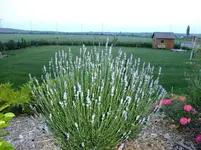 DSCF9147.webp