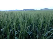 DSCF9141.webp