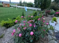 DSCF9143.webp