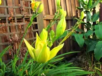 tn_Mai 2011 007 v.webp