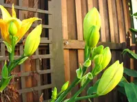 tn_Mai 2011 008 v.webp