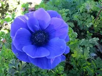 tn_Mai 2011 028 v.webp