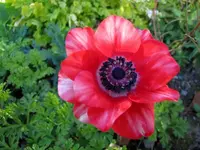 tn_Mai 2011 029v.webp