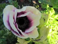 tn_Mai 2011 030v.webp