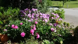K800_1.Juni 2011 001.webp