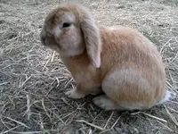 k-140520111463.webp