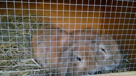 100420111028.webp