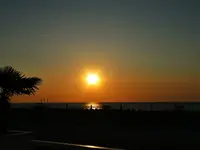 DSC01363.webp