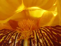 IMG_3001_1067x800.webp