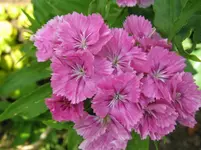 IMG_2994_1067x800.webp