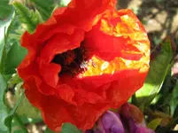 IMG_3000_1067x800.webp