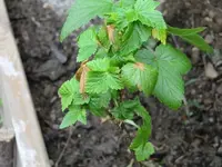 K800_CIMG0895.webp