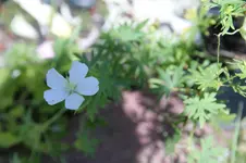 DSC05327.webp