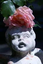 DSC05333.webp