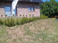DSCF0004.webp