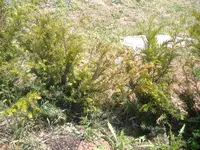 DSCF0005.webp