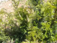 DSCF0006.webp
