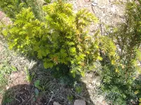 DSCF0007.webp