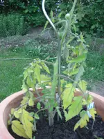 CIMG4822.webp