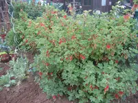 IMG_4968.webp