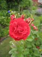 IMG_4970.webp
