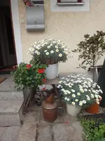 DSC01062.webp
