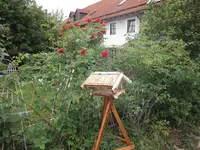 DSC01072.webp