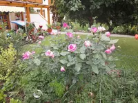 DSC01075.webp