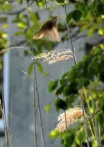 P6010076 und weg.webp