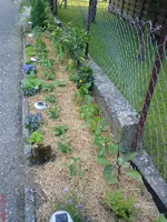 DSC00870.webp