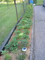 DSC00871.webp