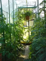 DSC00883.webp