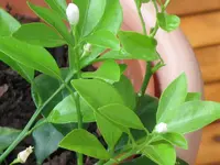 IMG_0931.webp IMG_0931.webp