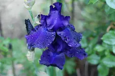 DSC05320.webp