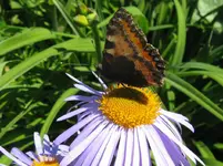IMG_3100_1067x800.webp