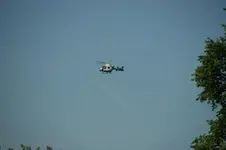 DSC05349.webp